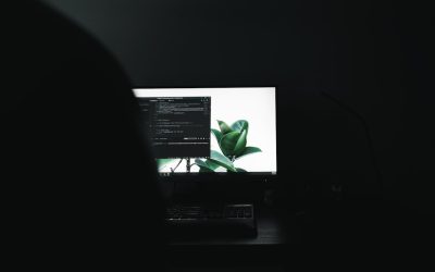 Le Dark Mode : pourquoi et comment l’intégrer à votre site